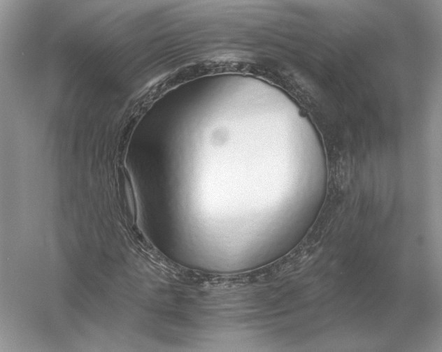 X0000056000821200509092043