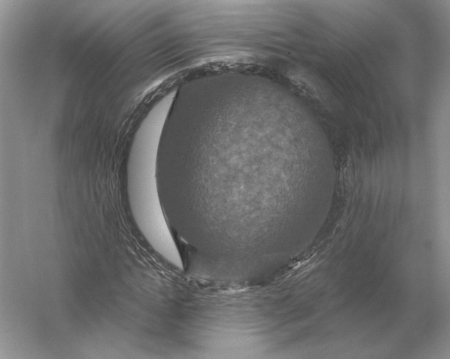 X0000056000822200509092043