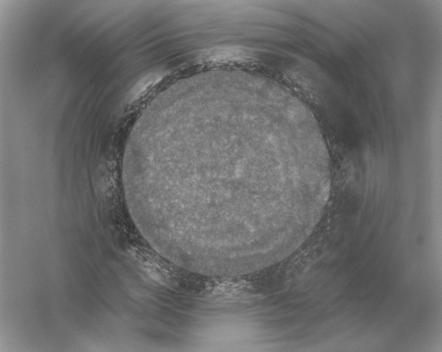 X0000056000824200509092043