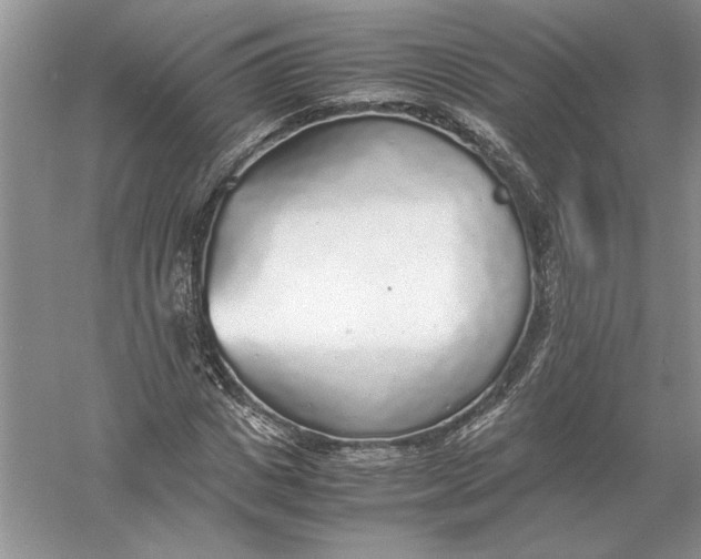 X0000056000825200509092043