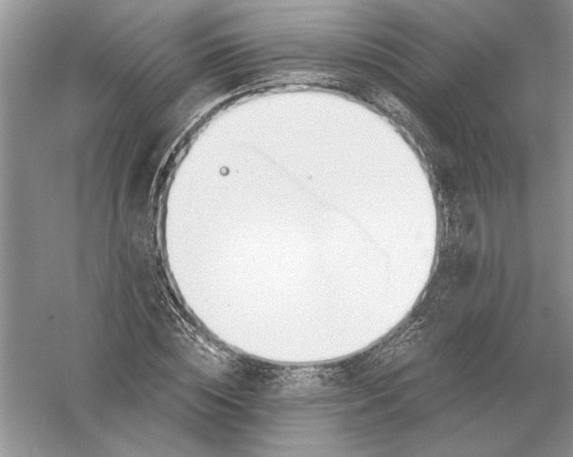 X0000056000828200509092043