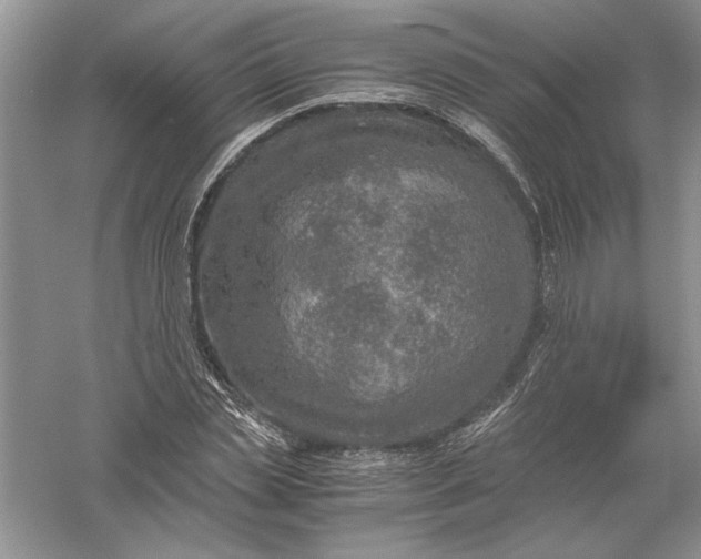 X0000056000829200509092043