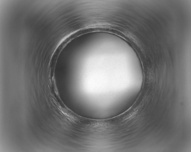 X0000056000830200509092043