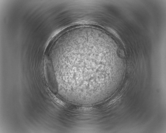 X0000056000831200509092043