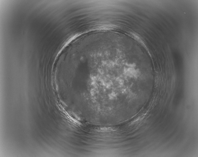 X0000056000835200509092043