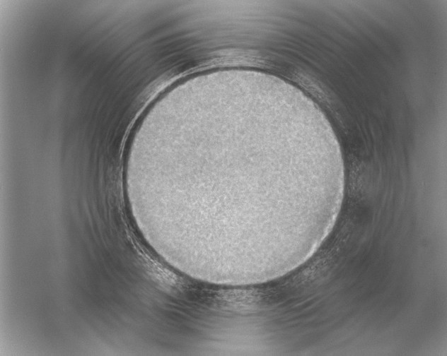 X0000056000836200509092043