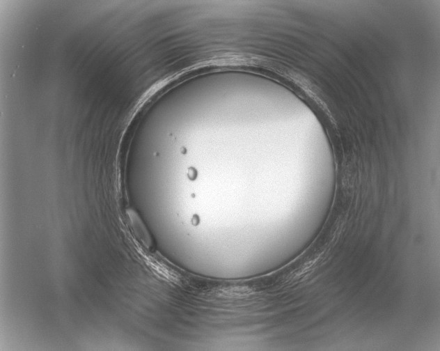 X0000056000837200509092043