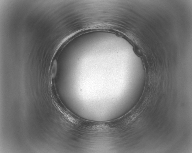 X0000056000838200509092043