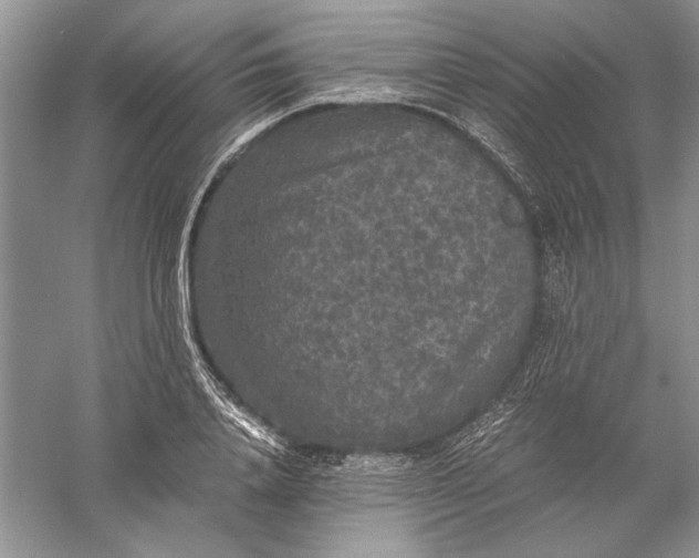 X0000056000840200509092044