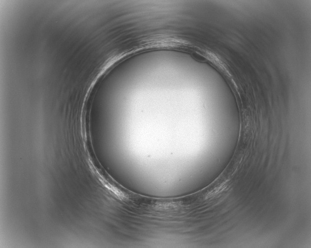 X0000056000843200509092044