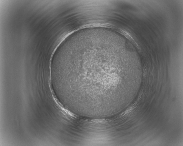 X0000056000844200509092044