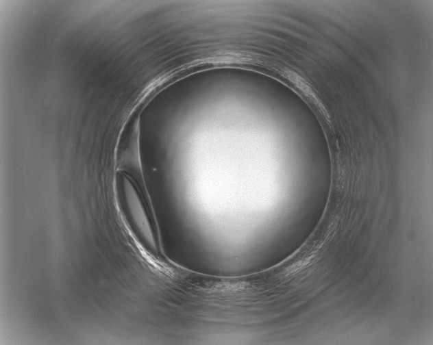 X0000056000845200509092044