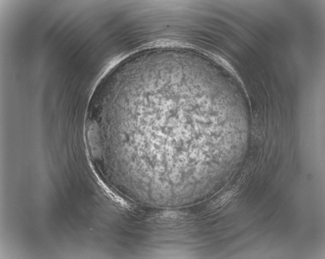 X0000056000847200509092044