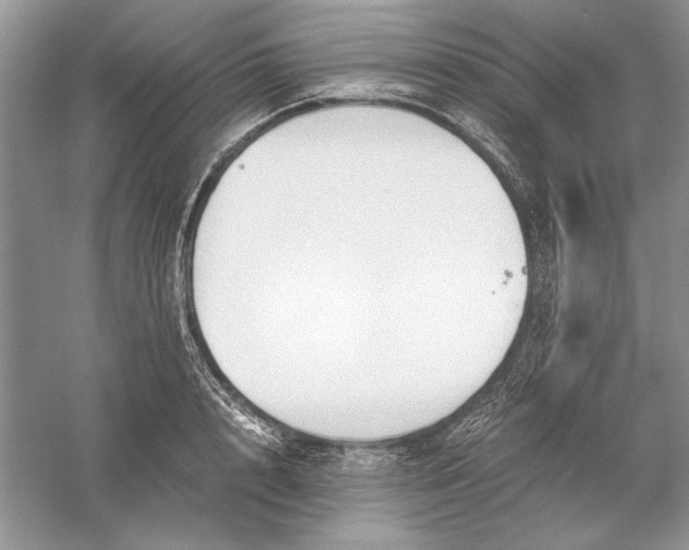 X0000056000848200509092044