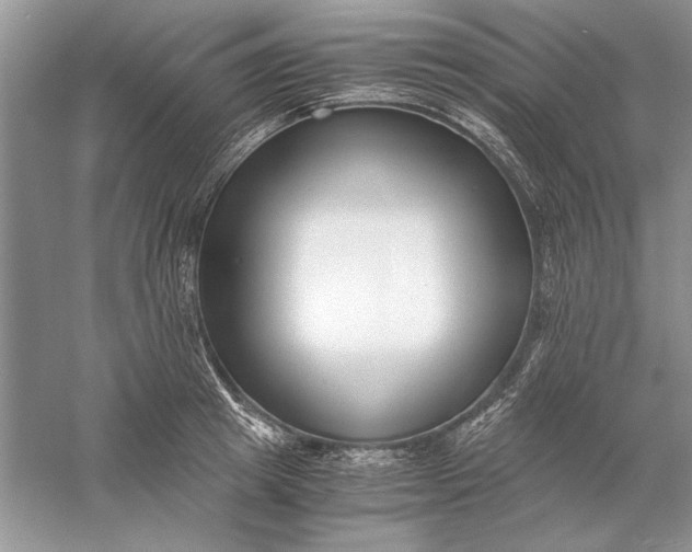 X0000056000849200509092044