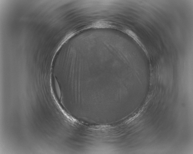 X0000056000853200509092044