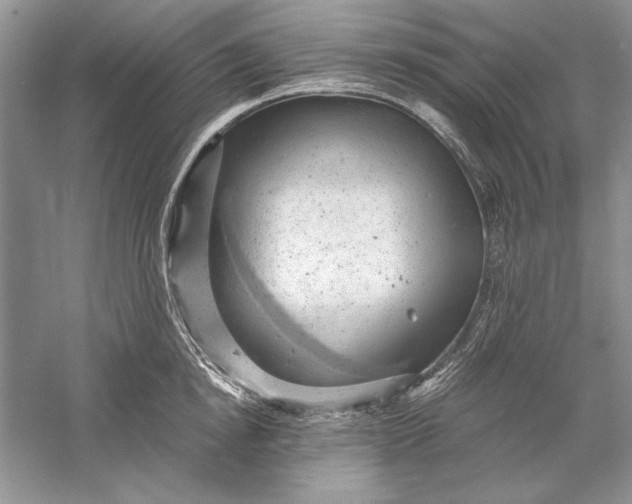 X0000056000854200509092044