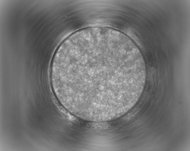 X0000056000856200509092044