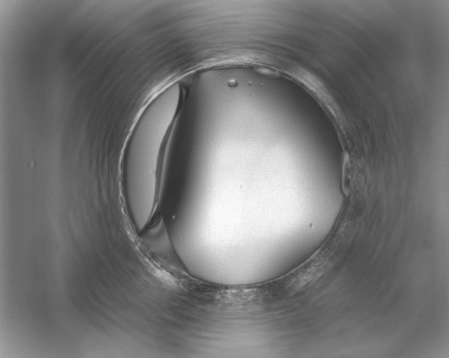 X0000056000858200509092044