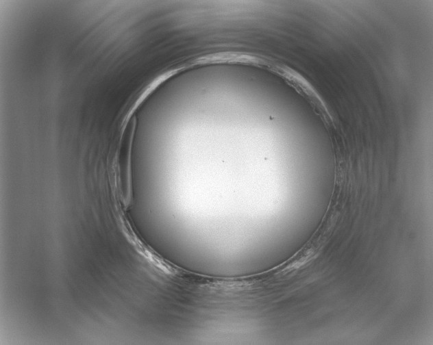 X0000056000860200509092044