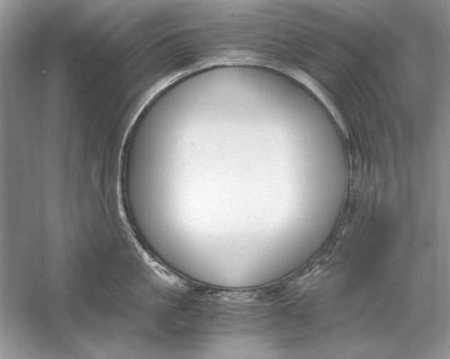 X0000056000861200509092044