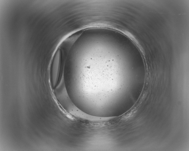 X0000056000862200509092044