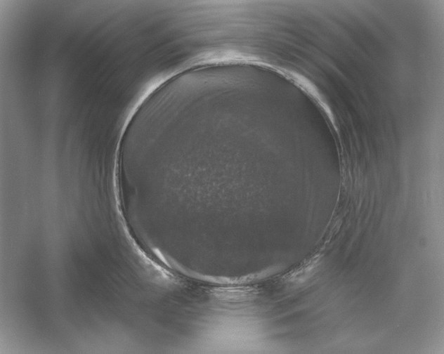 X0000056000863200509092044