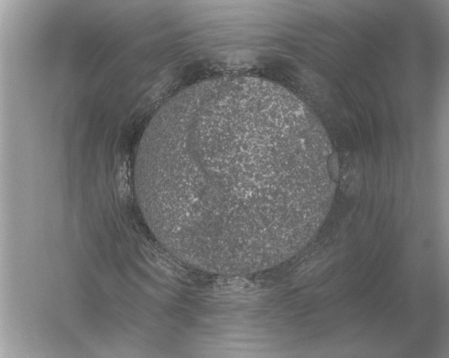 X0000056000866200509092043