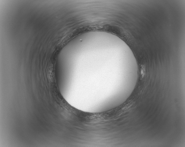 X0000056000867200509092043