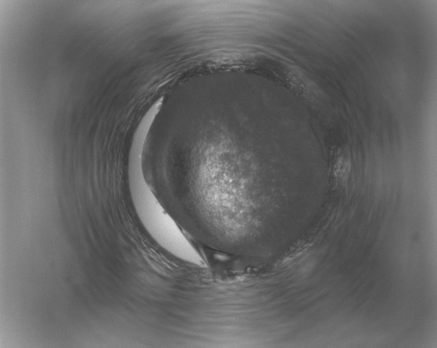 X0000056000868200509092043