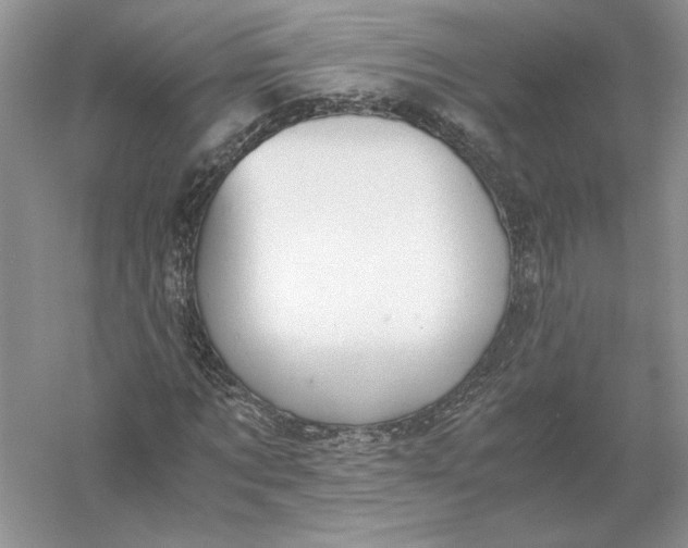 X0000056000869200509092043