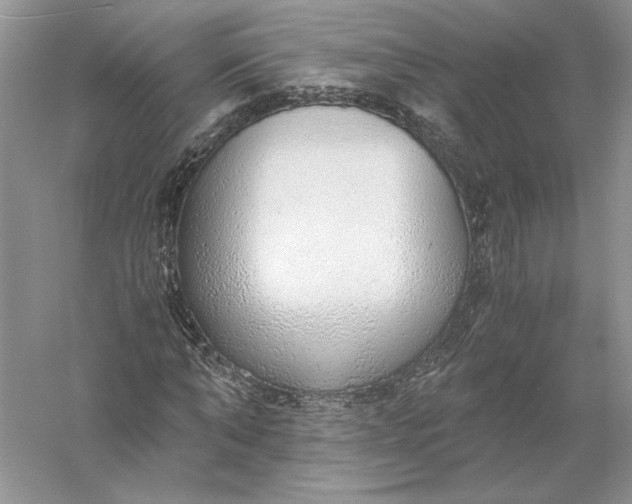 X0000056000870200509092043