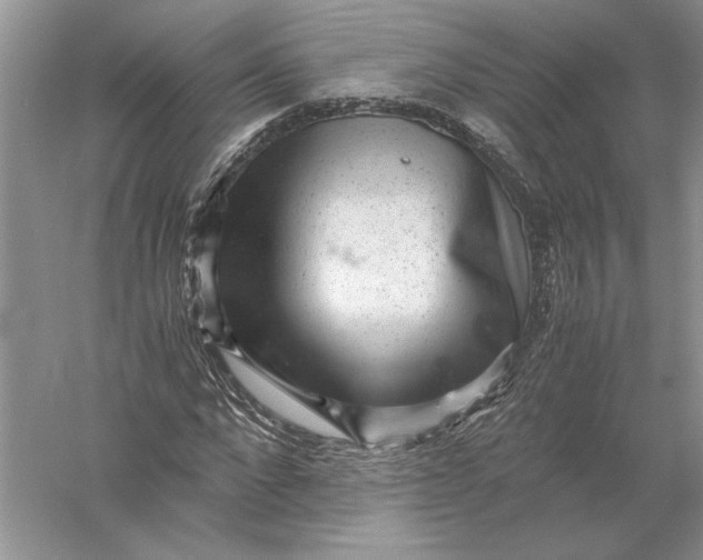 X0000056000872200509092043