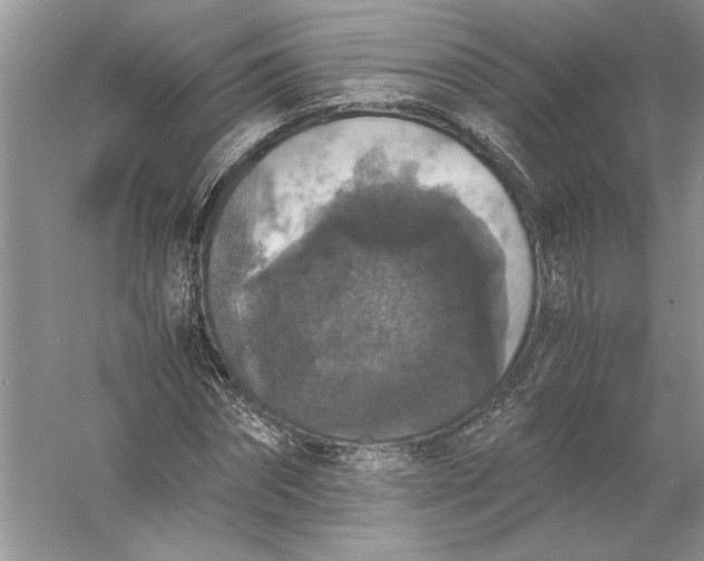 X0000056000874200509092043