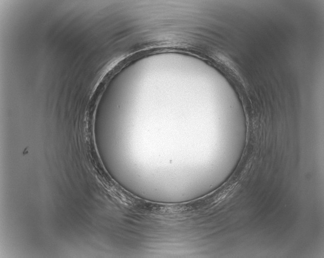 X0000056000875200509092043