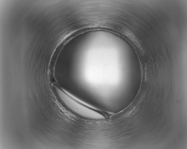 X0000056000876200509092043