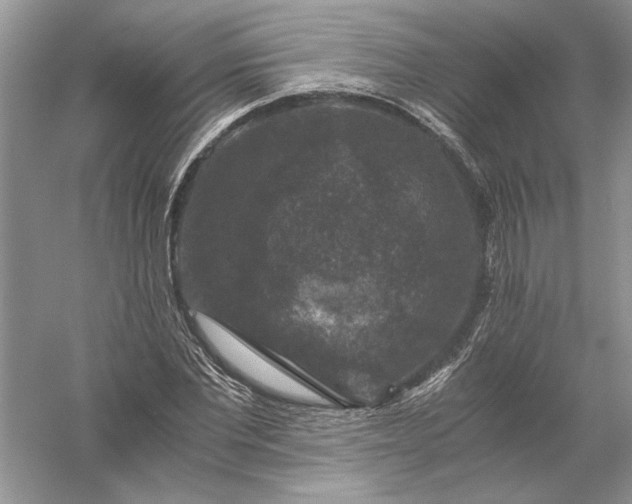 X0000056000877200509092043