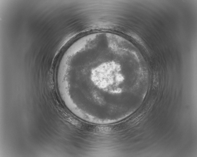 X0000056000878200509092043