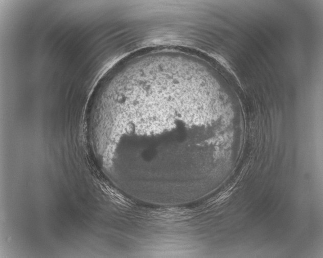 X0000056000879200509092043