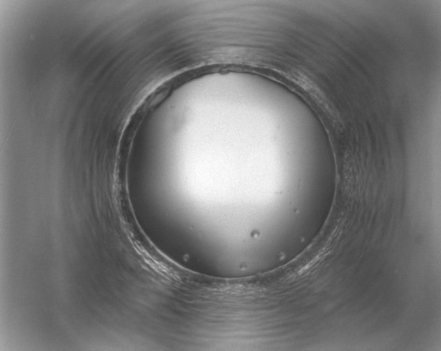 X0000056000880200509092043