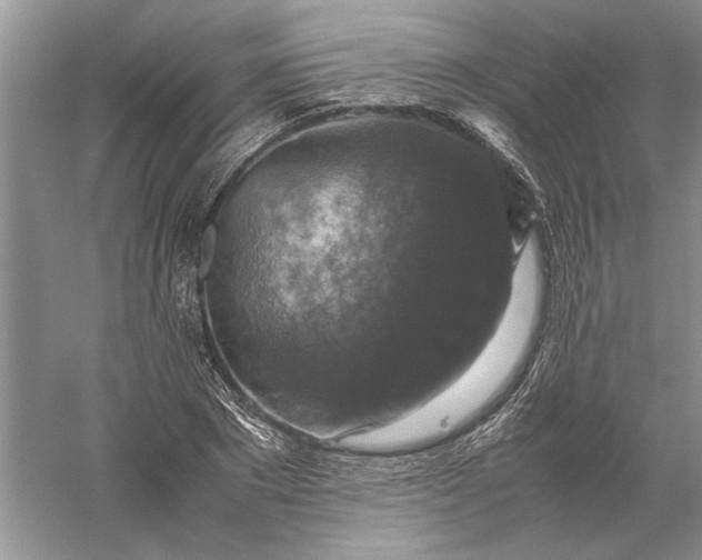 X0000056000881200509092043