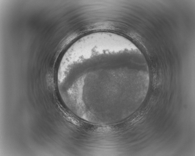 X0000056000882200509092043