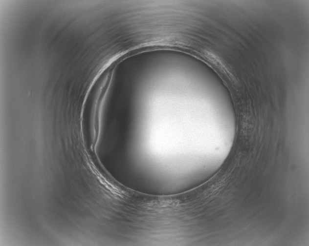 X0000056000884200509092043