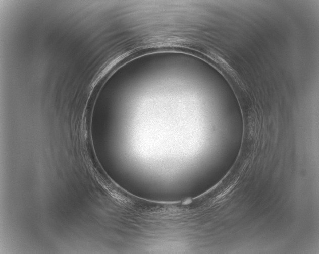 X0000056000885200509092043