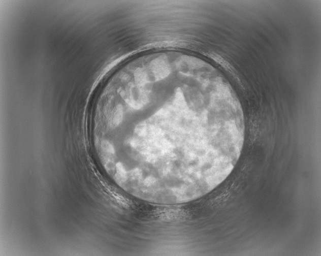 X0000056000886200509092043