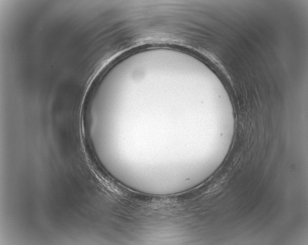 X0000056000887200509092043