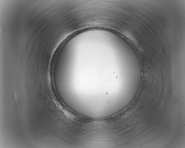 X0000056000888200509092043