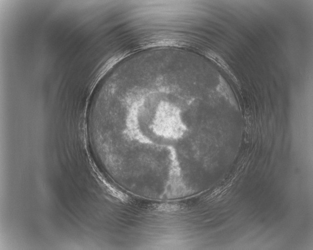 X0000056000890200509092043