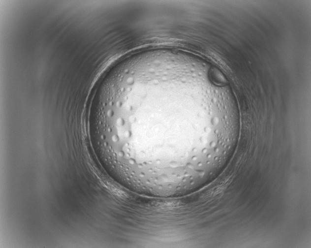 X0000056000891200509092043