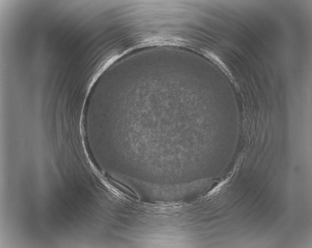 X0000056000893200509092043